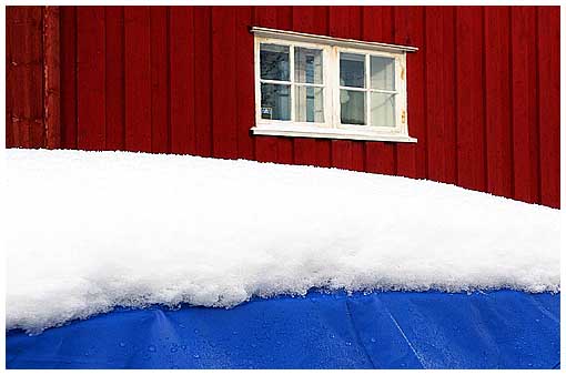 February: Red, White, and Blue